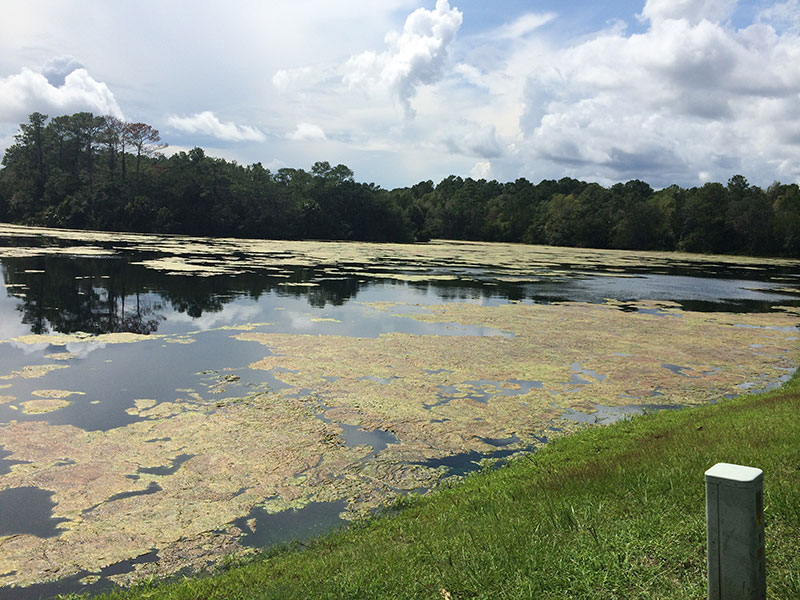 Pond Management Lake - Georgia Plantation Solutions